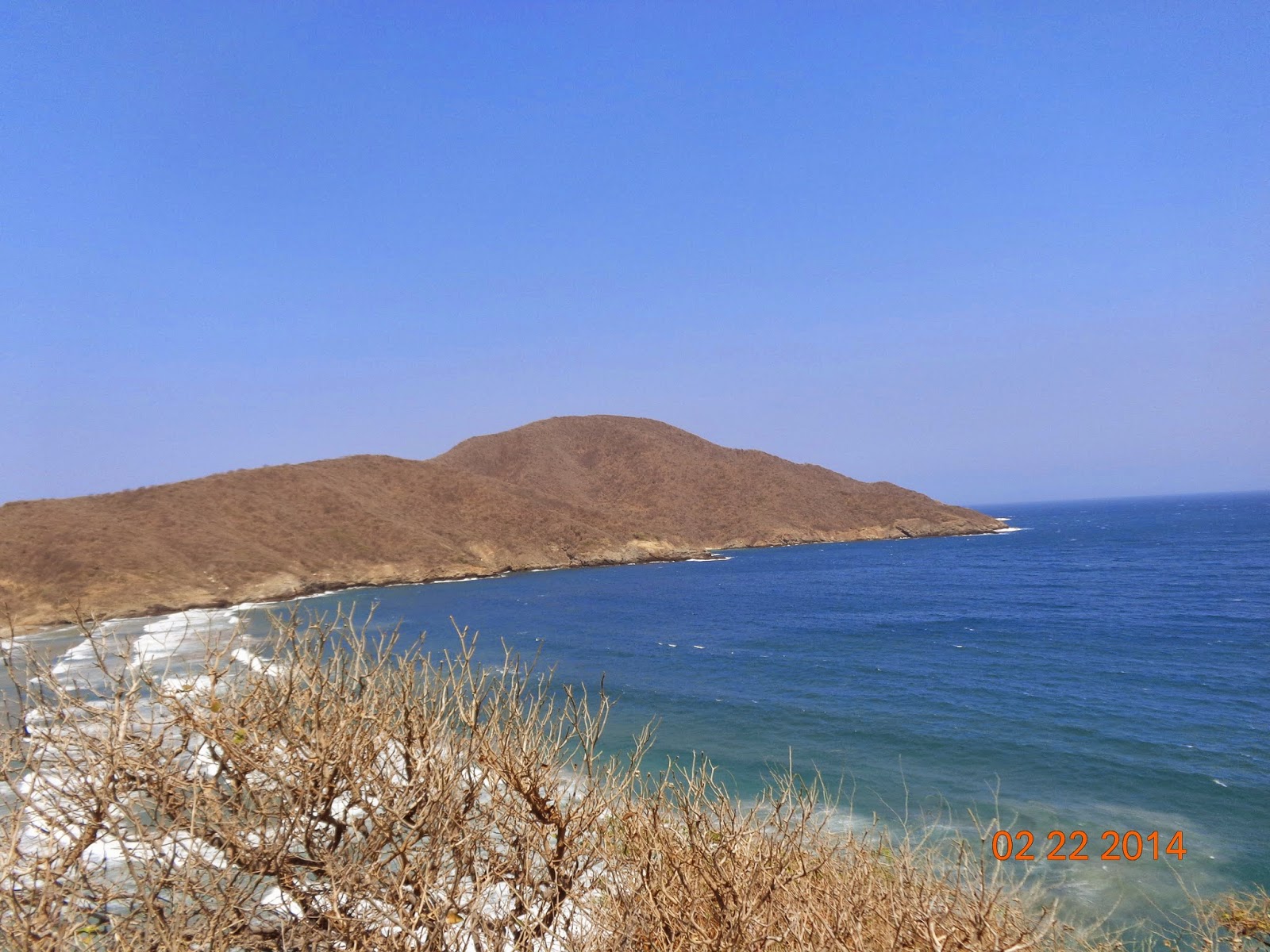 Thyroid Health: Essential Nutrients for Metabolism and Hormone Balance